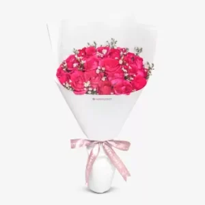 Pretty in Pink (24 Roses)