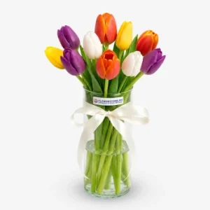 Assorted Tulips (10 Stems)