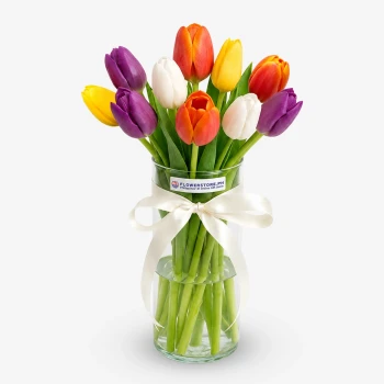 Assorted Tulips (10 Stems)
