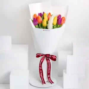Assorted Tulips